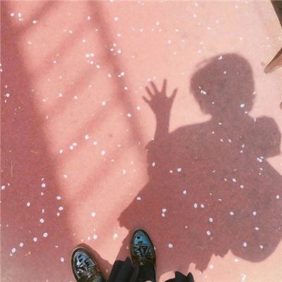 极速赛车8码预测网页下载